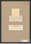 Coscinodiscus polygonus Castr. (de-Toni-Nr.: Genus 202, Species 5109) Zeichnungen Sammlung Grunow Nr. 8871 (NHMW-BOT-W0378510)